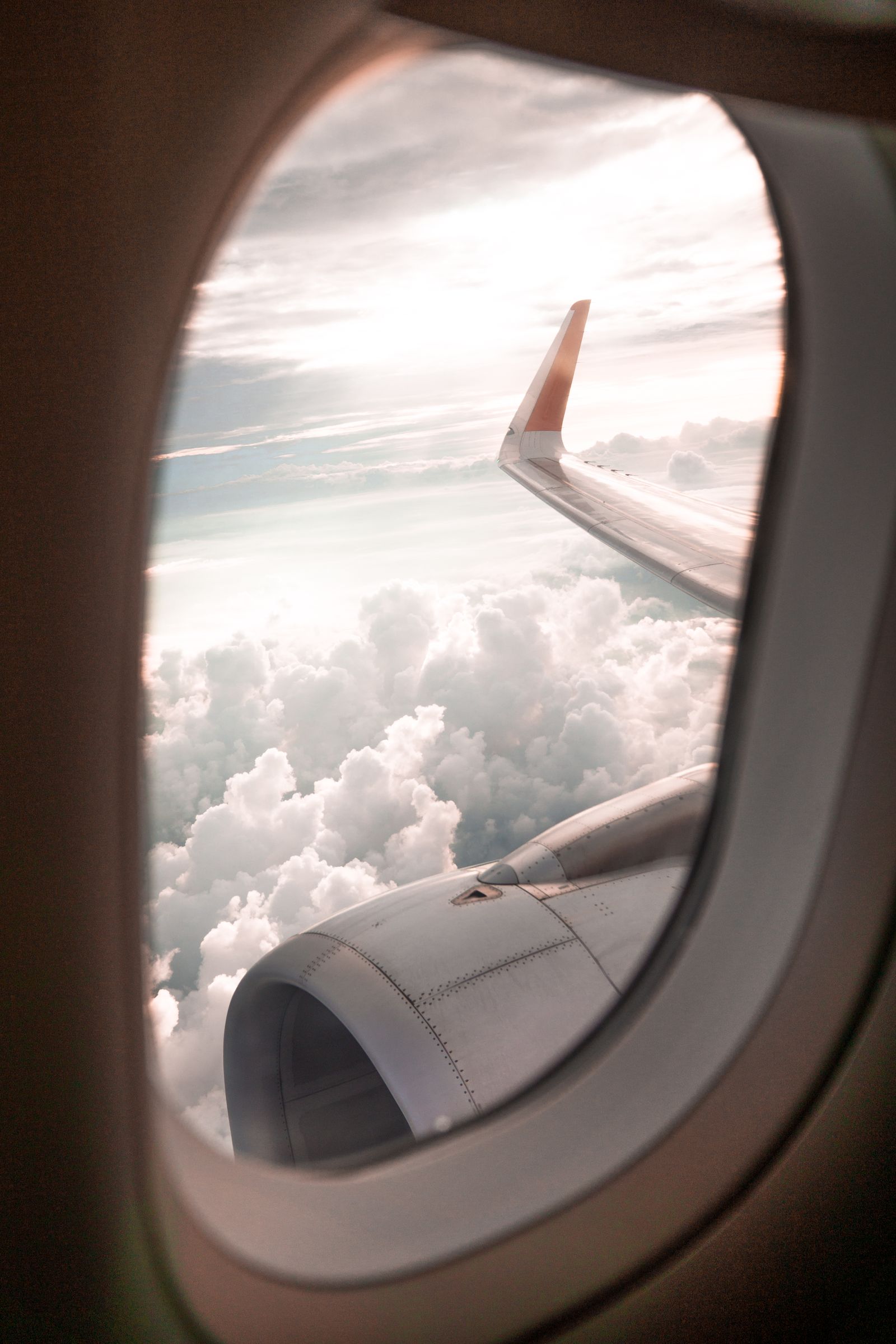 Basic Economy vs. Standard Economy: Which Fare Should You Book?