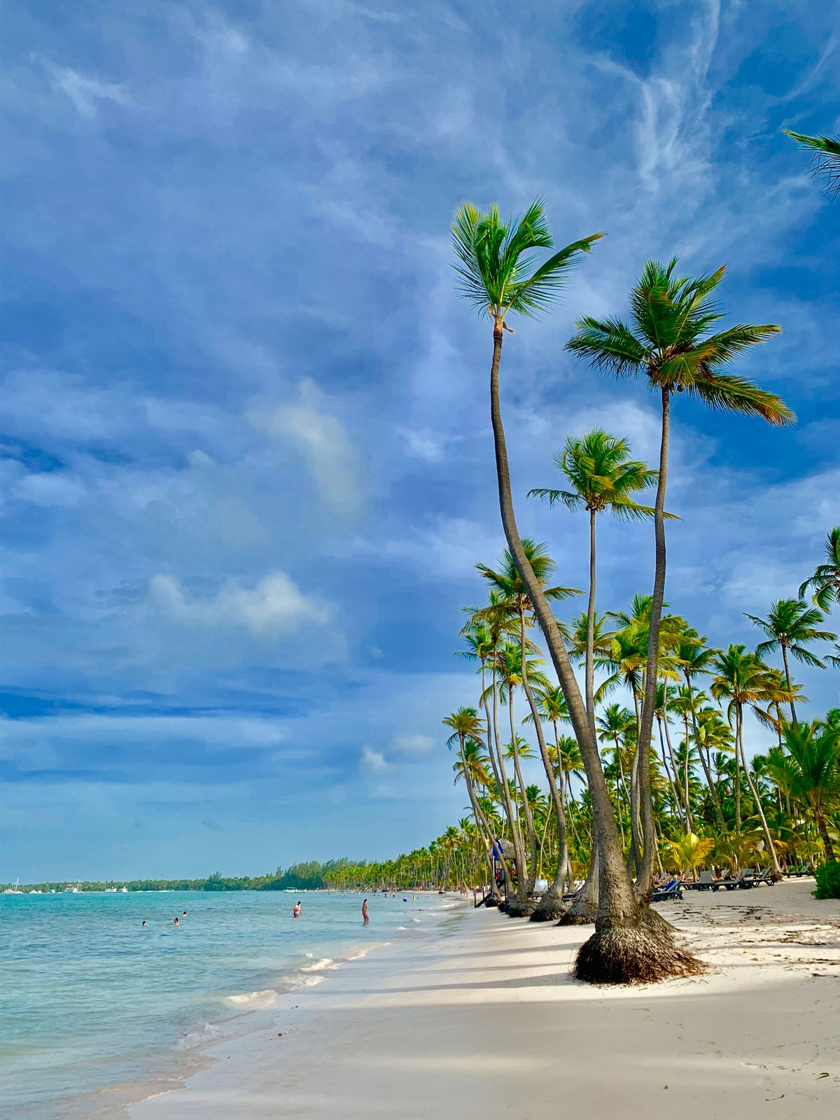 How to Book a Flight to Punta Cana, Dominican Republic